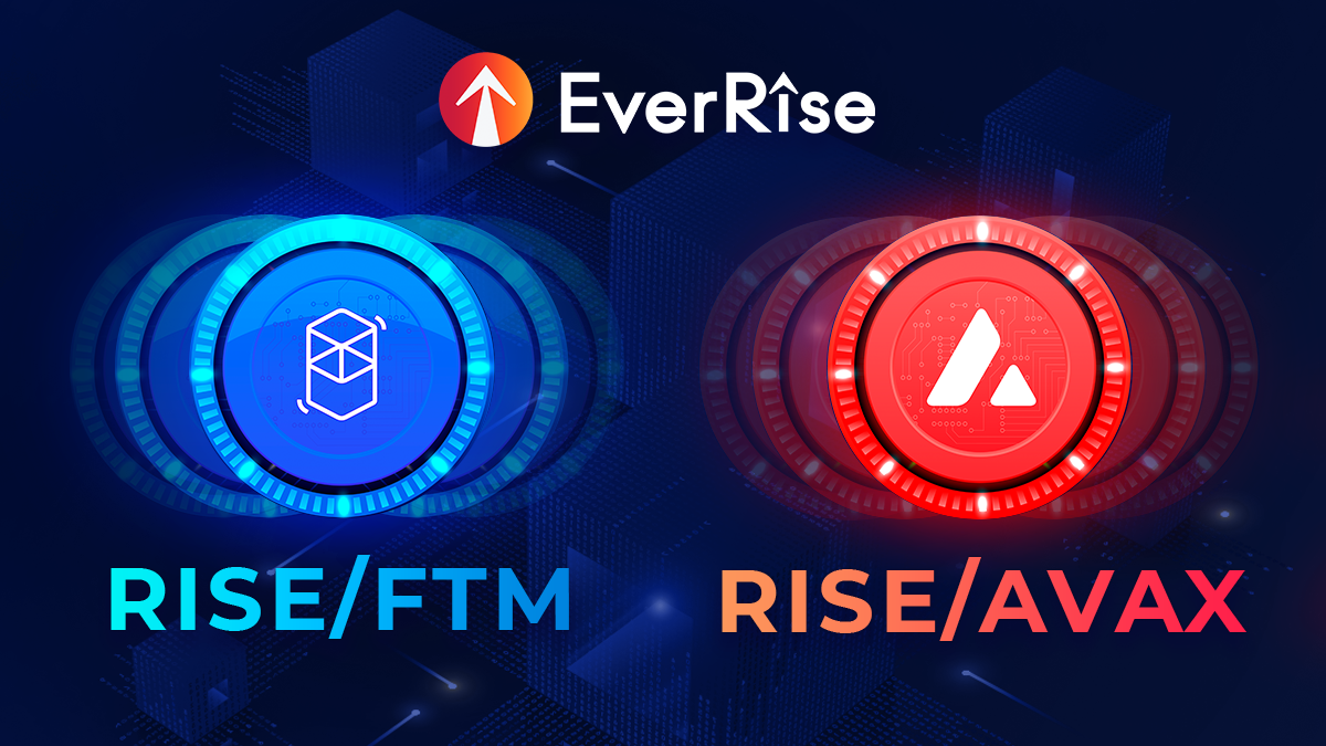 Five Chains One Supply: Expanding the EverRise Ecosystem to Fantom and Avalanche