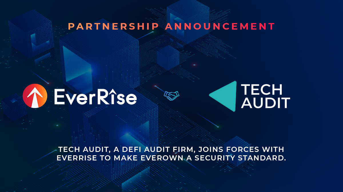 EverRise Announces Tech Audit as an Official Audit Partner for EverOwn