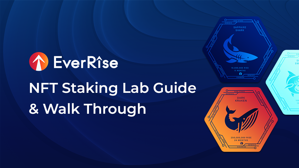 Preview EverRise NFT Staking Lab Guide & Walk Through