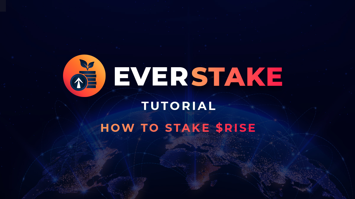 Preview How to stake RISE with EverStake